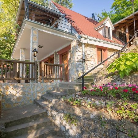 Vila Dunjarica Ґолубац Екстер'єр фото